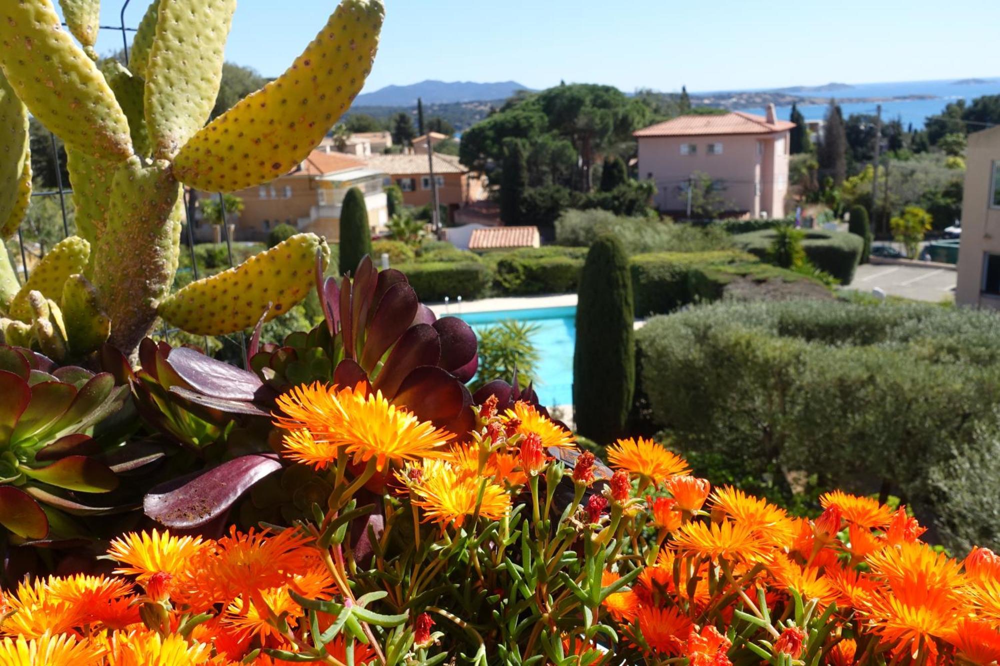 Les Jardins De Bandol, Piscine Privee, Belle Vue Mer エクステリア 写真